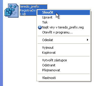 teredo_prefix.png